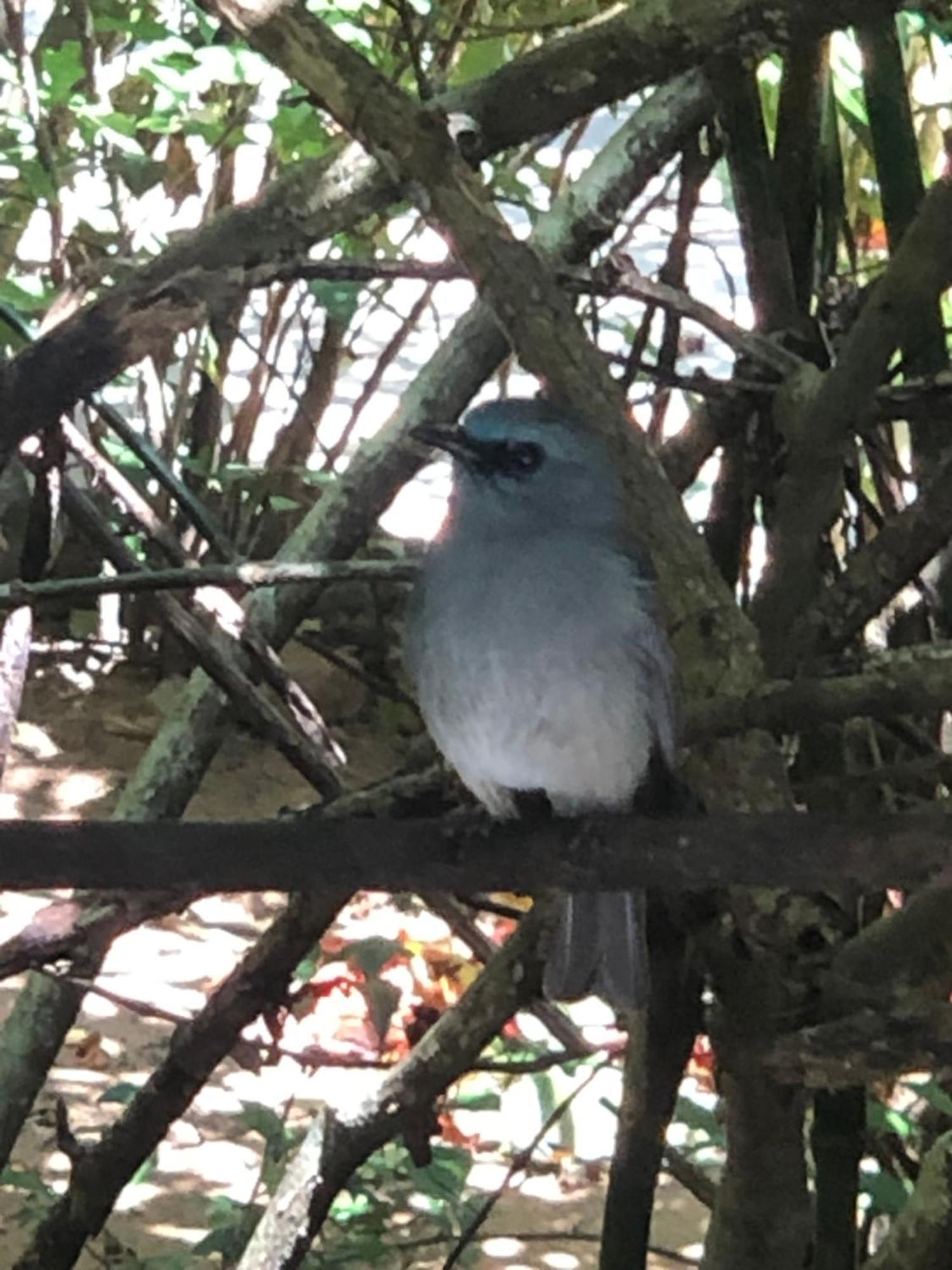 Surrey Bird Sanctuary & Holiday Resort Welimada Екстериор снимка