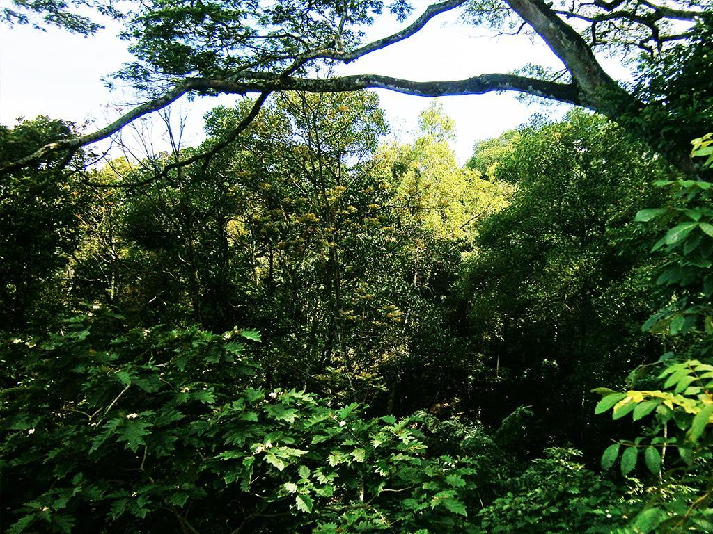 Surrey Bird Sanctuary & Holiday Resort Welimada Екстериор снимка