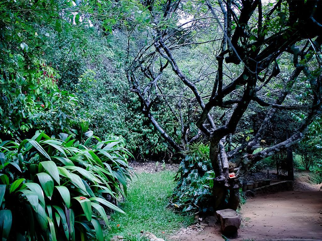 Surrey Bird Sanctuary & Holiday Resort Welimada Екстериор снимка